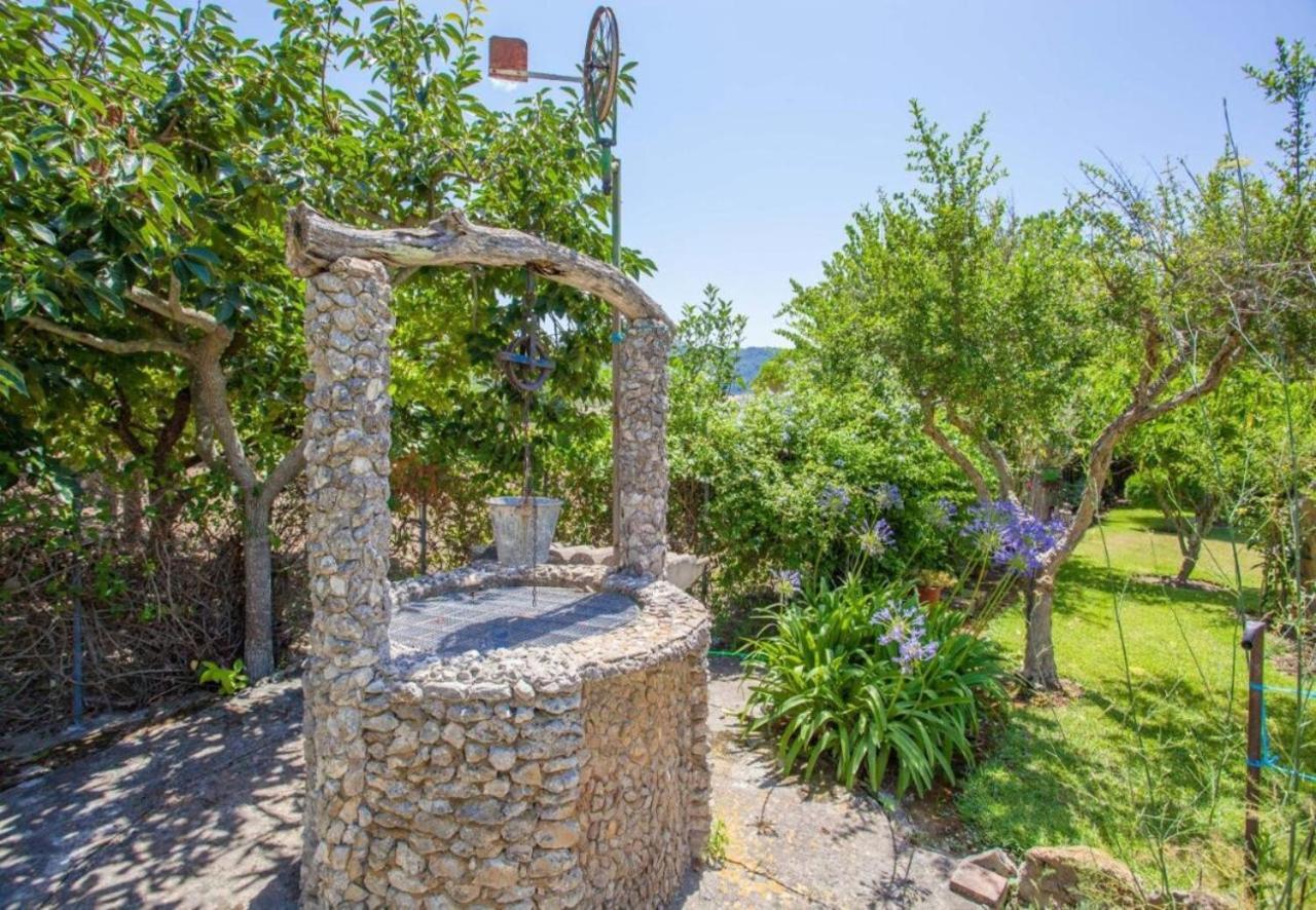 Sa Sort Llarga Country house *